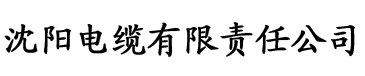 亚洲AV无码精品色午夜超碰电缆厂logo